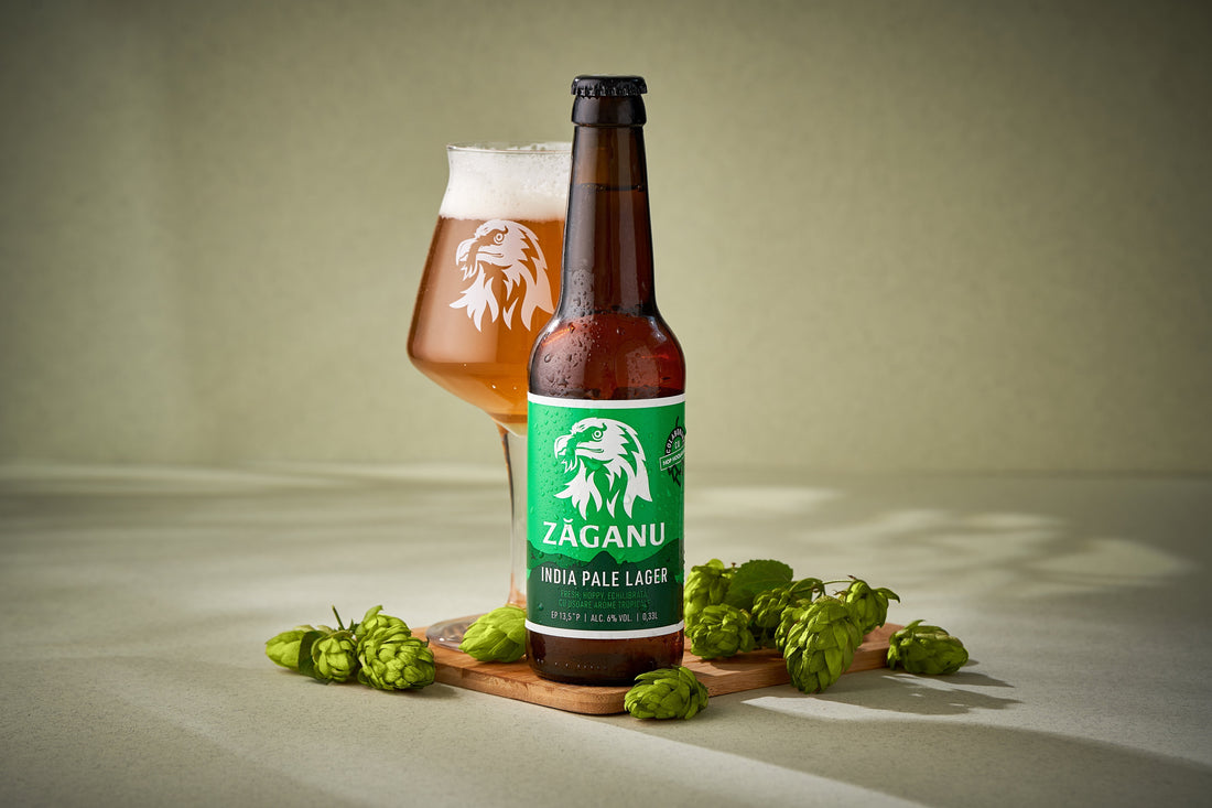 Tipuri de hamei pentru bere: ce arome și beneficii aduc în pahar