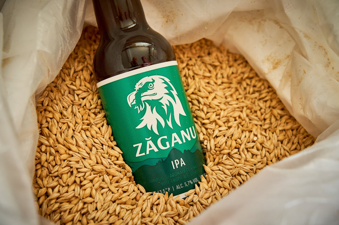 Tipuri de malț în berea craft - Ghid complet