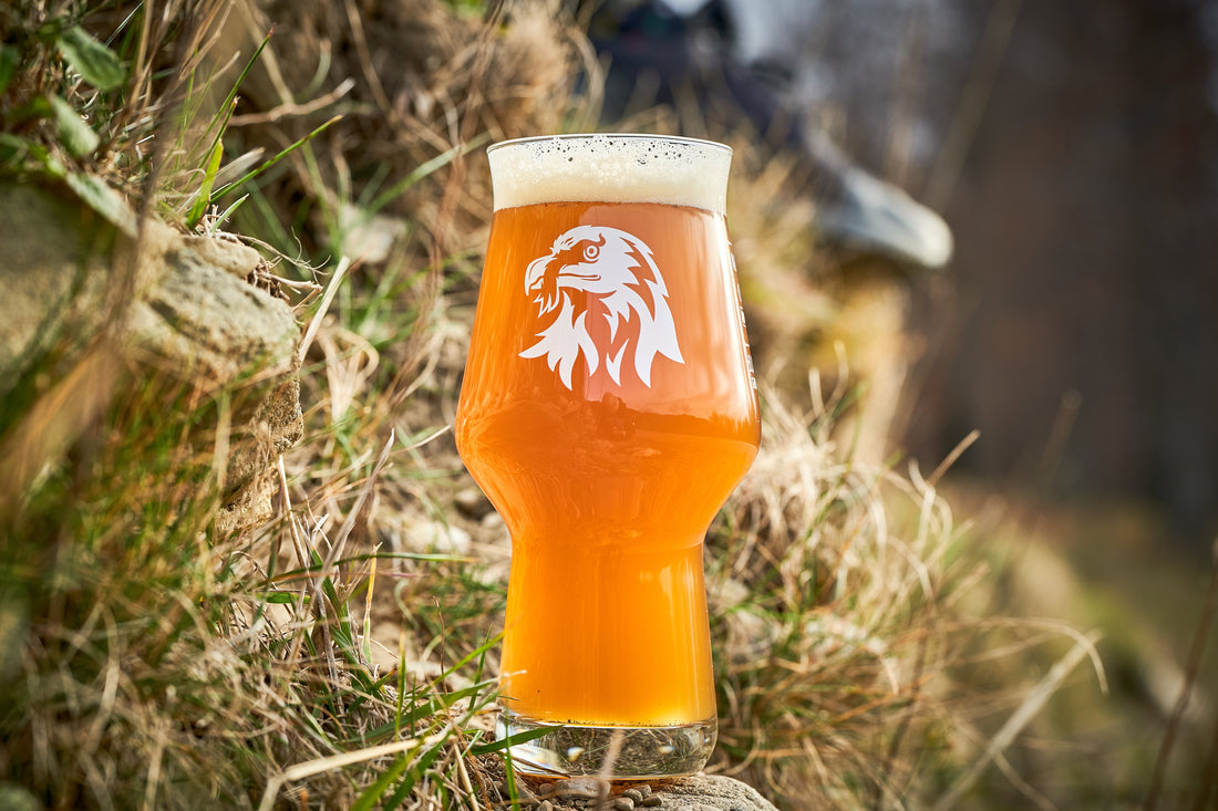 Stiluri de bere craft populare și istoria lor - O călătorie prin lumea berii artizanale românești