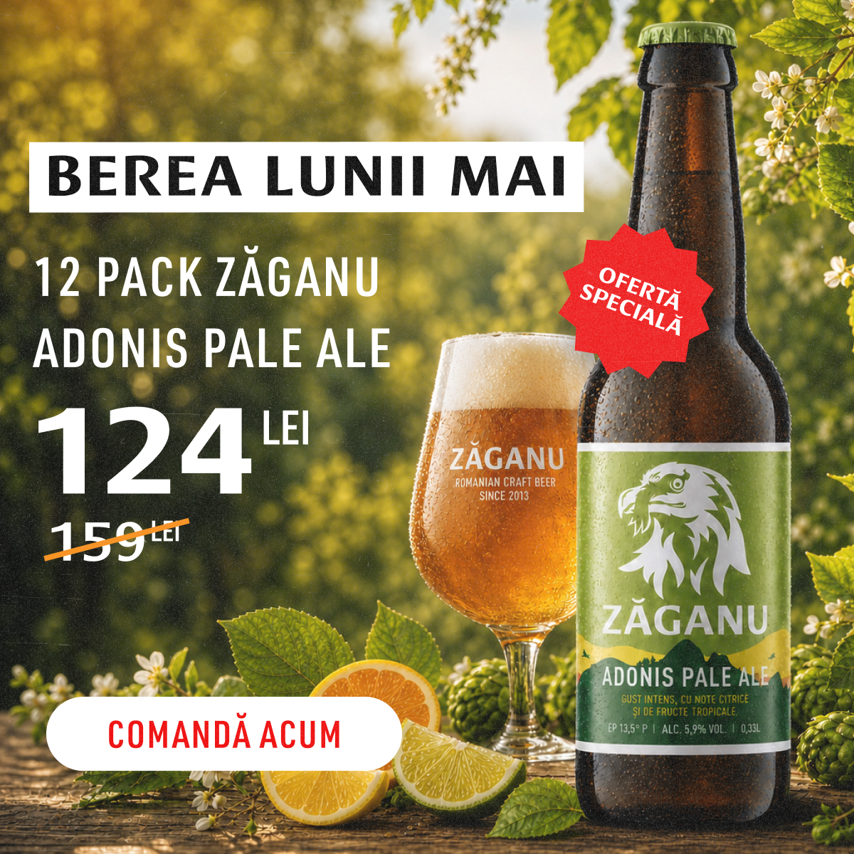 12 pack ZĂGANU Adonis Pale Ale 330ml – Bere-Zăganu