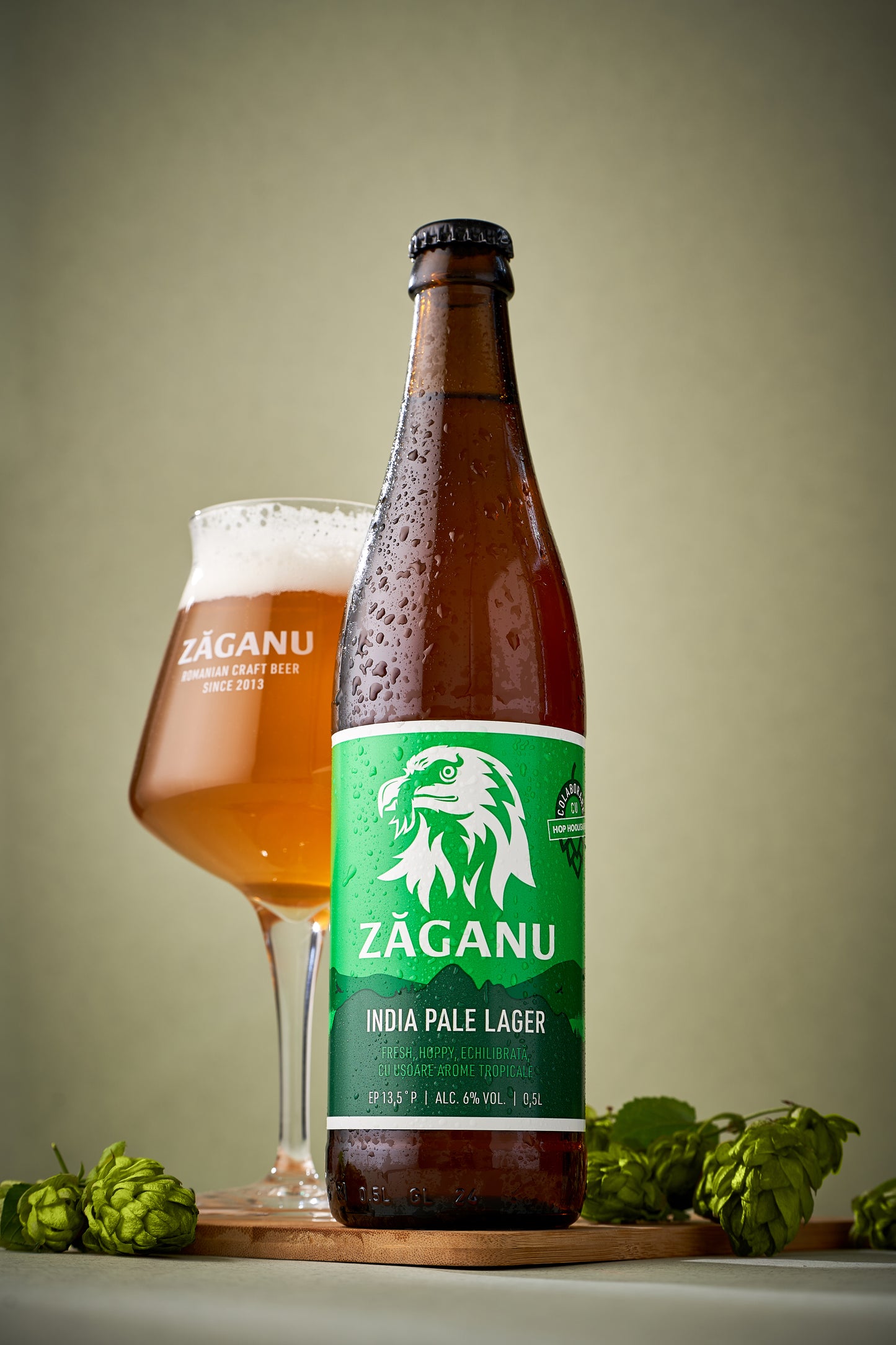 ZĂGANU India Pale Lager 500ml