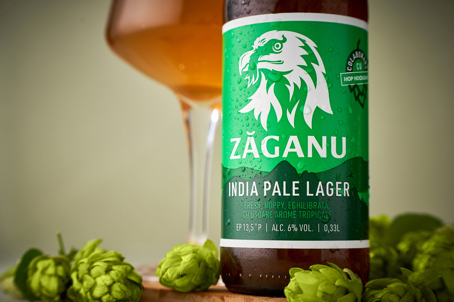 ZĂGANU India Pale Lager 500ml