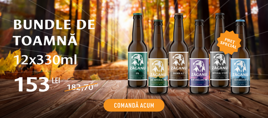 Top 5 beri artizanale Zăganu potrivite pentru toamnă & pairing cu mâncăruri tradiționale românești