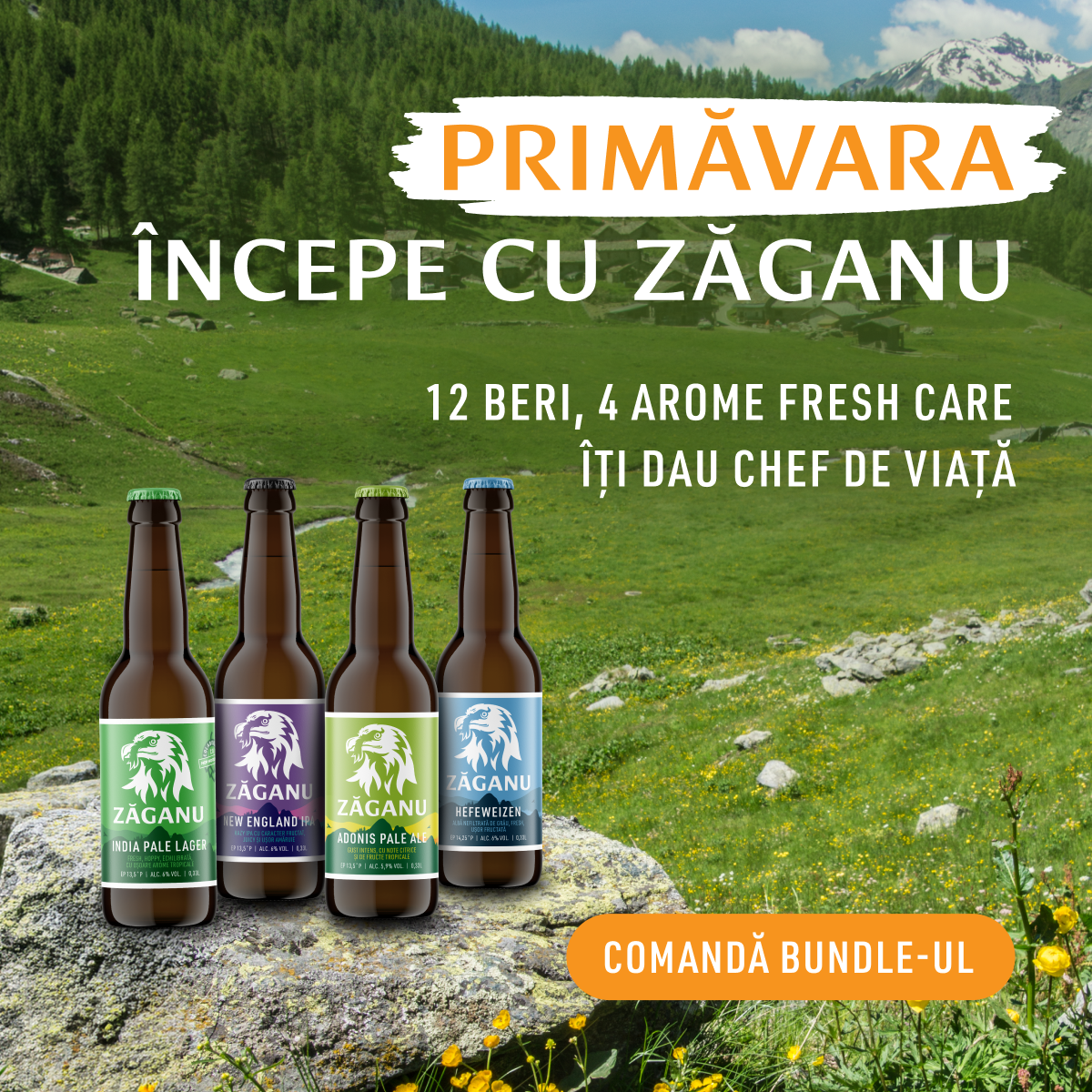 12 pack Zăganu Pack de Primăvară (4 stiluri diferite x 3 sticle 330 ml)
