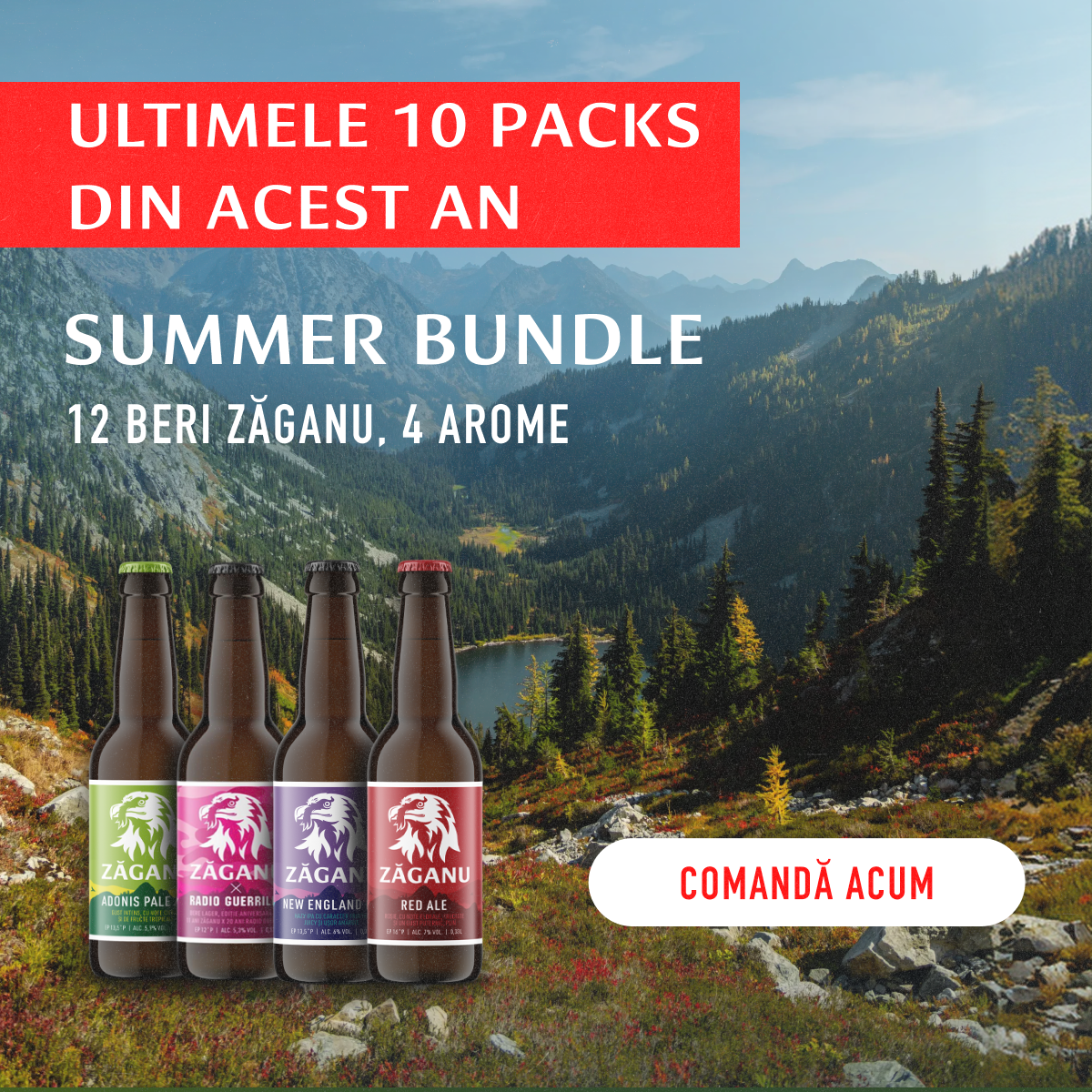 12 pack Zăganu Summer Bundle (4 different styles x 3 bottles 330 ml)