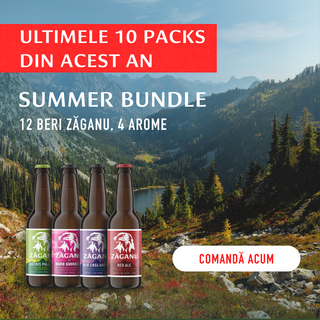 12 pack Zăganu Summer Bundle (4 stiluri diferite x 3 sticle 330 ml)