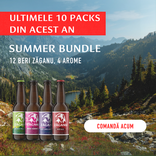 12 pack Zăganu Summer Bundle (4 stiluri diferite x 3 sticle 330 ml)