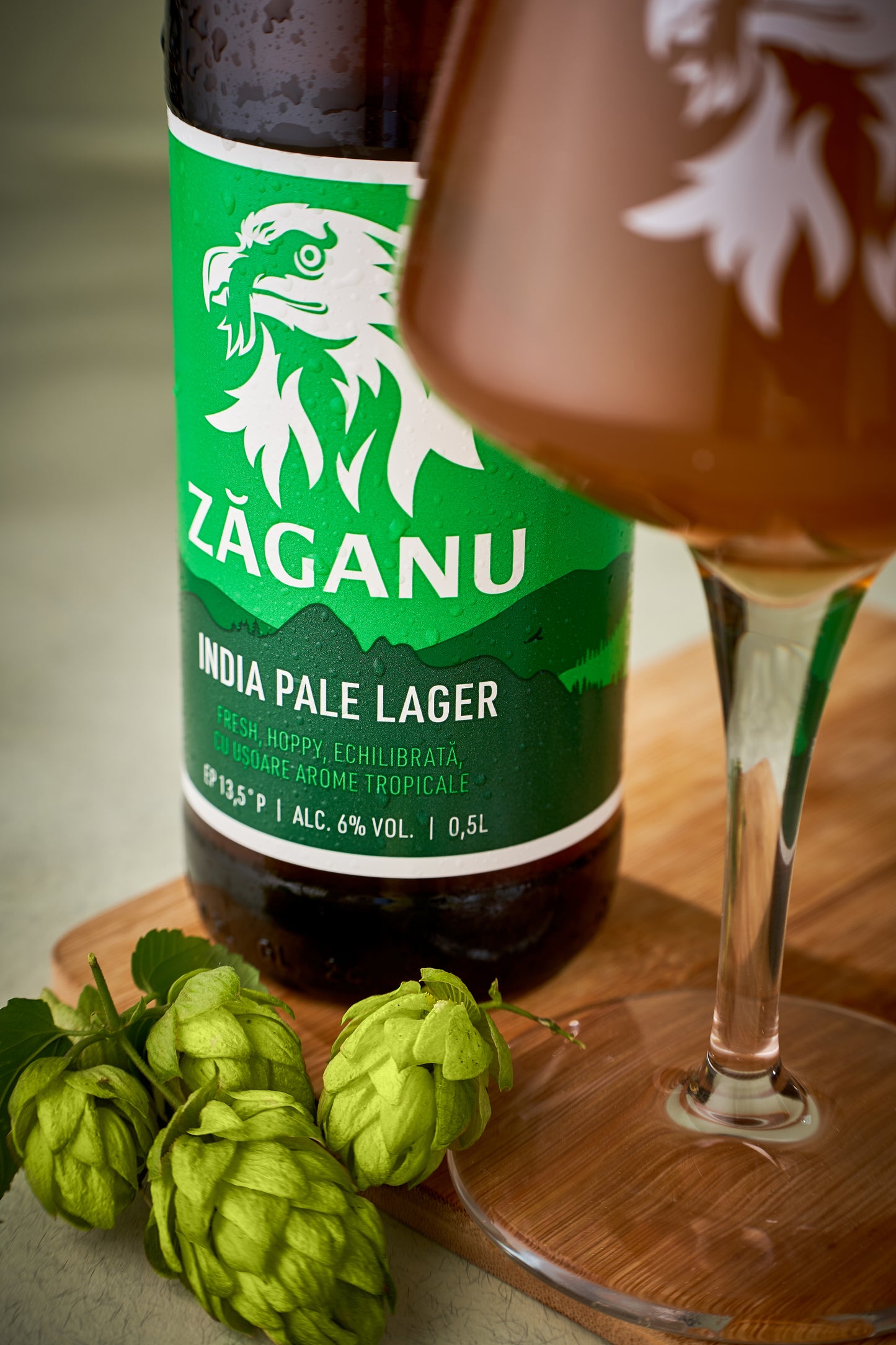 ZĂGANU India Pale Lager 500ml