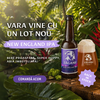 12 pack ZĂGANU New England IPA 330ml