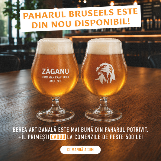 Pahar tasting Zăganu - Brussels 300ml