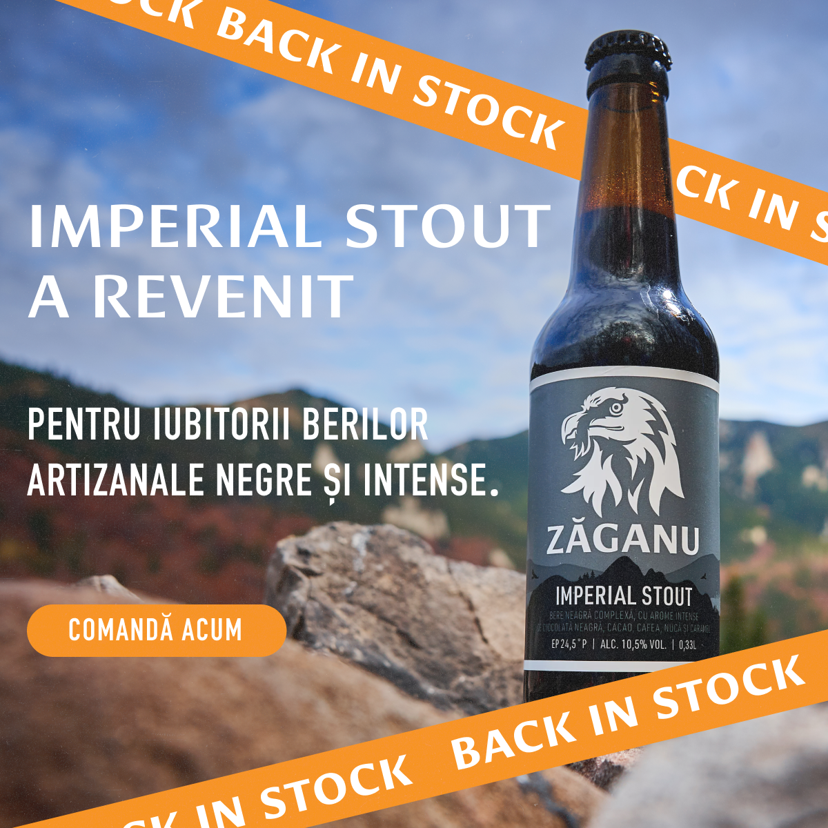 12 pack ZĂGANU Imperial Stout 330ml