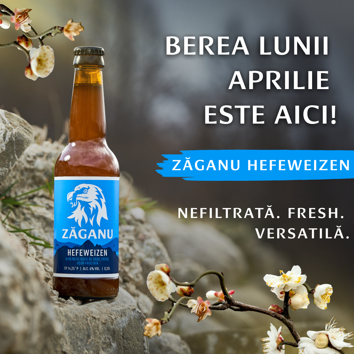 20 pack ZĂGANU Hefeweizen 500ml