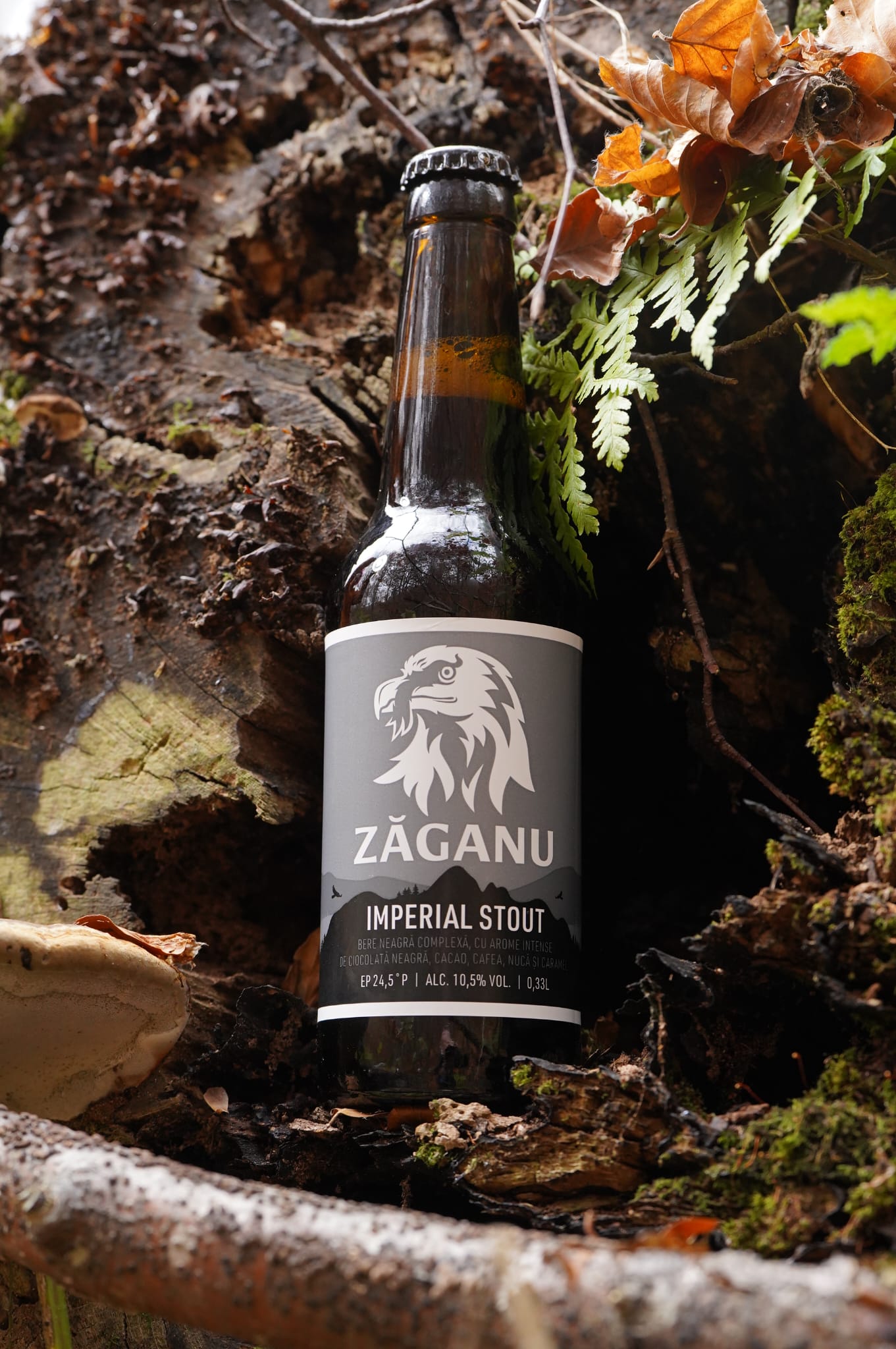 ZĂGANU Imperial Stout 330ML