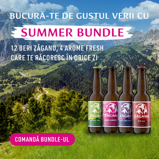 12 pack Zăganu Summer Bundle (4 stiluri diferite x 3 sticle 330 ml)